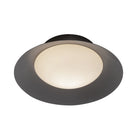 WS77909-BK/OP