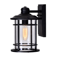 Belmont 1-Light Outdoor Wall Lantern