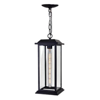 Blackbridge 1-Light Outdoor Pendant