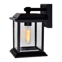 Blackbridge 1-Light Outdoor Wall Lantern