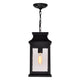 CWI - Milford 1-Light Outdoor Pendant - Lights Canada