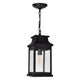 CWI - Milford 1-Light Outdoor Pendant - Lights Canada