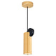 CWI - Saleen Mini Pendant - Lights Canada
