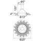 CWI - Thorns 8-Light Chandelier - Lights Canada