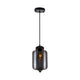 CWI - Glass Mini Pendant - Lights Canada