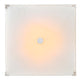 5571P21C-S