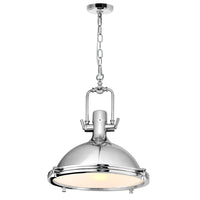Show 1-Light Down Pendant