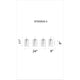 CWI - Darya Sconce - Lights Canada