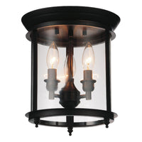 Desire 3-Light Cage Flush Mount