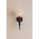 Caraway 1-Light Wall Sconce