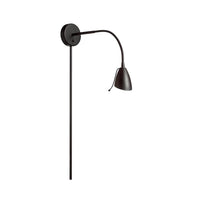Windford 1-Light Wall Lamp