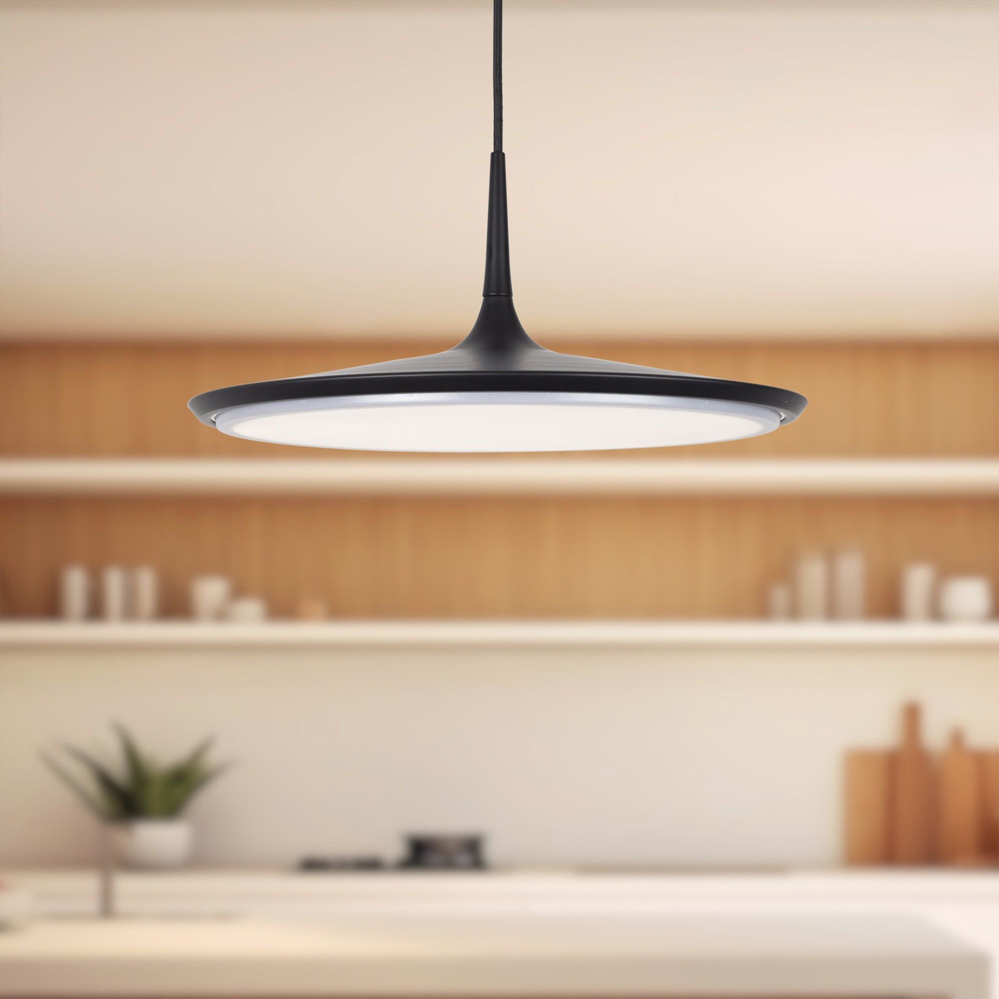 Disc 16" LED Pendant