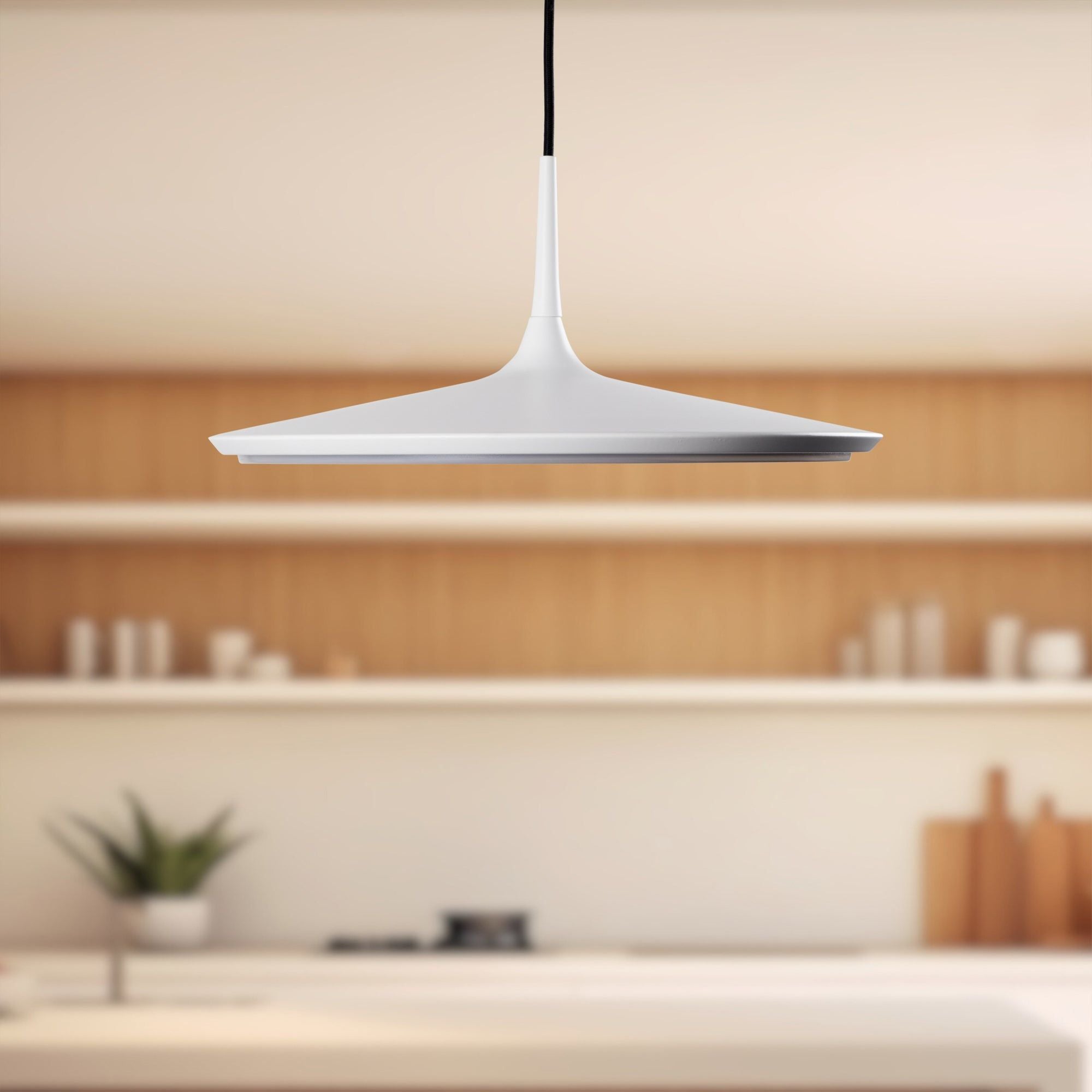 Disc 16" LED Pendant