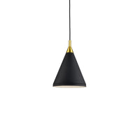Dorothy 10" 1-Light Pendant