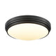 Algoma 17" LED Flush Mount