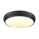 Algoma 17" LED Flush Mount