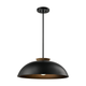 Bergen 1-Light Dual Mount