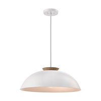 Bergen 1-Light Dual Mount
