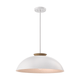 Bergen 1-Light Dual Mount