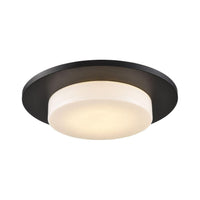 Skimmer 1-Light Flush Mount