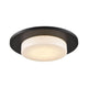 Skimmer 1-Light Flush Mount