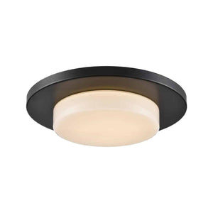 Skimmer 1-Light Flush Mount