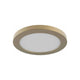 Avro 7" Flush Mount