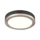 Temagami 9" LED Flush Mount