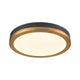 Temagami 12" LED Flush Mount