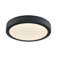 Temagami 12" LED Flush Mount