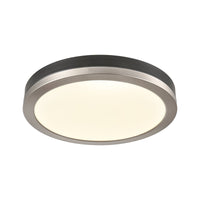 Temagami 12" LED Flush Mount