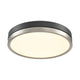 Temagami 16" LED Flush Mount