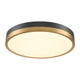 Temagami 20" LED Flush Mount