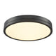 Temagami 20" LED Flush Mount