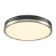 Temagami 20" LED Flush Mount