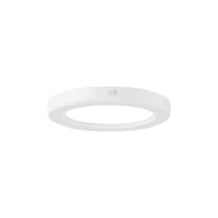Hurricane 5" LED Flushmount