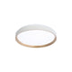 Hudson 15.25" LED Flush Mount