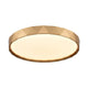 Dawson 19" LED Flush Mount
