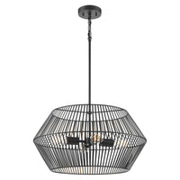 Ladysmith 22" Pendant