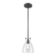 Emma 1-Light Pendant