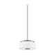Robson Hall 16" Pendant