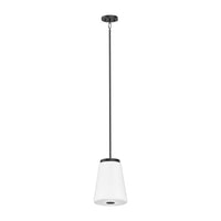 Robson Hall 1-Light Tall Pendant