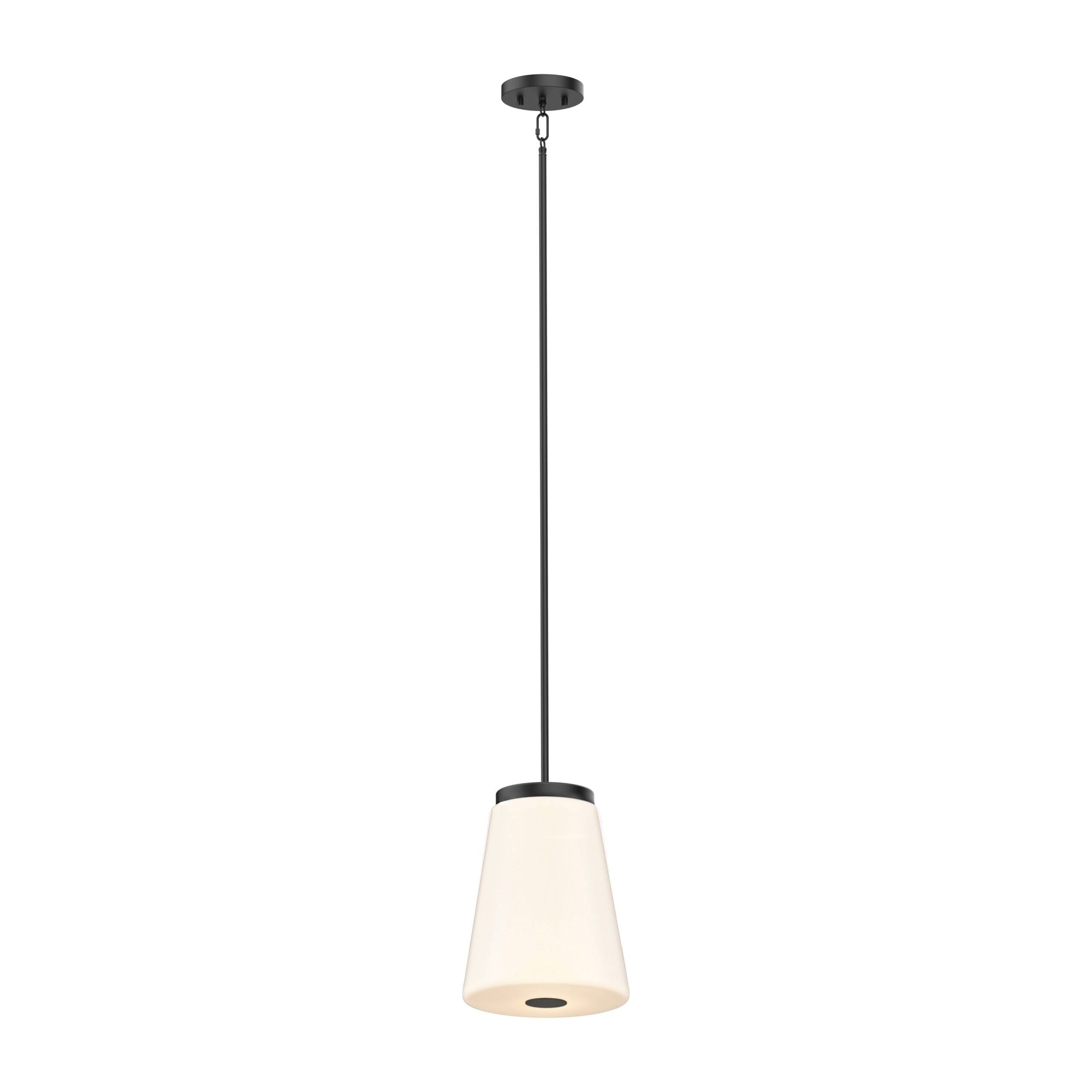 Robson Hall 1-Light Tall Pendant