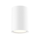 Gimli 5.75" Flushmount