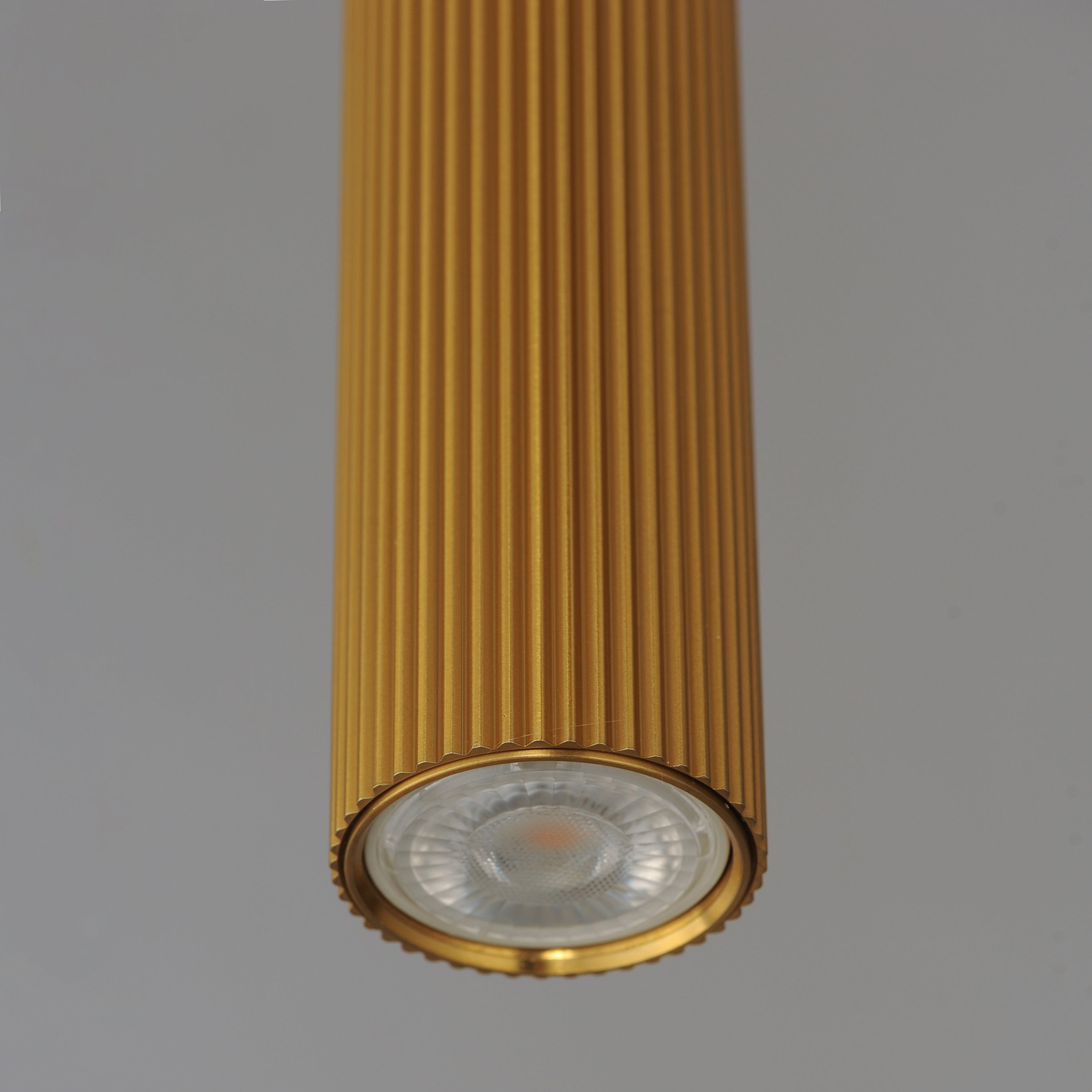 E11012-GLD