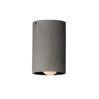 Pilar 1-Light LED Flush Mount
