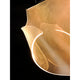 E24873-133PC