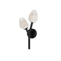 Blossom 2-Light LED Wall Sconce