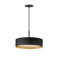 Echo 16" LED Pendant