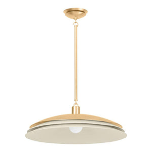 Oneida 1-Light Pendant